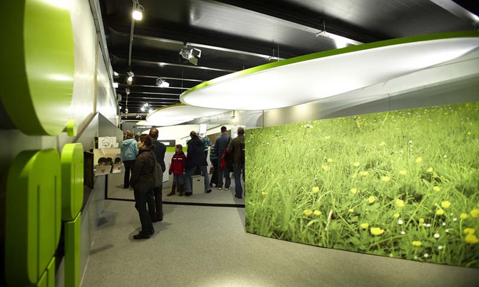 展覽設計效果 展覽設計效果