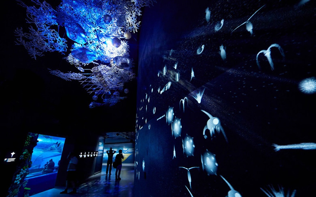 北京展覽展示公司