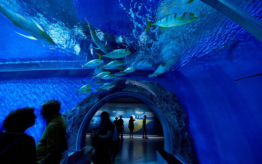 北京展覽展示公司