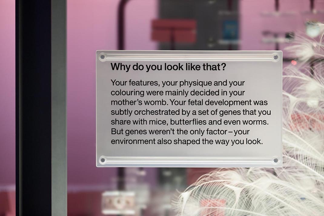 科學(xué)博物館展廳設計