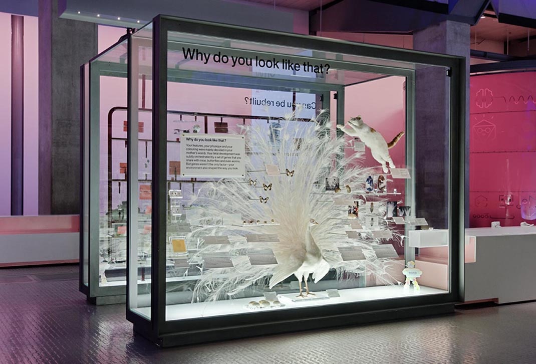 科學(xué)博物館展廳設計