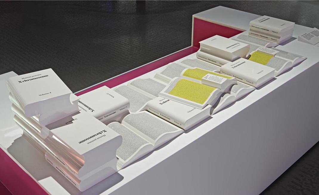 科學(xué)博物館展廳設計