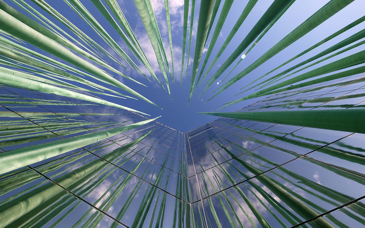 世博會(huì )展覽 世博會(huì )展覽