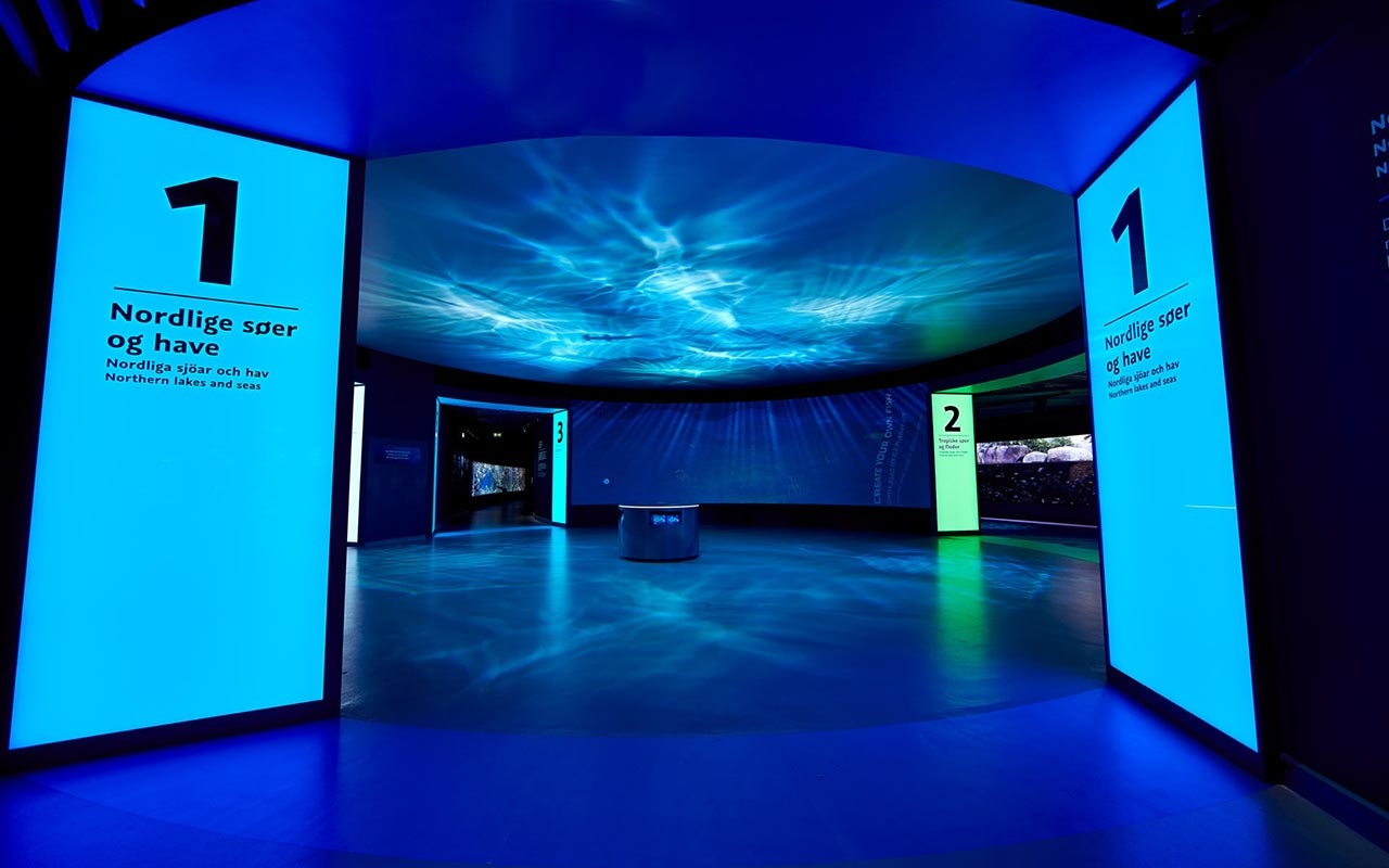 海洋館設計 海洋館設計