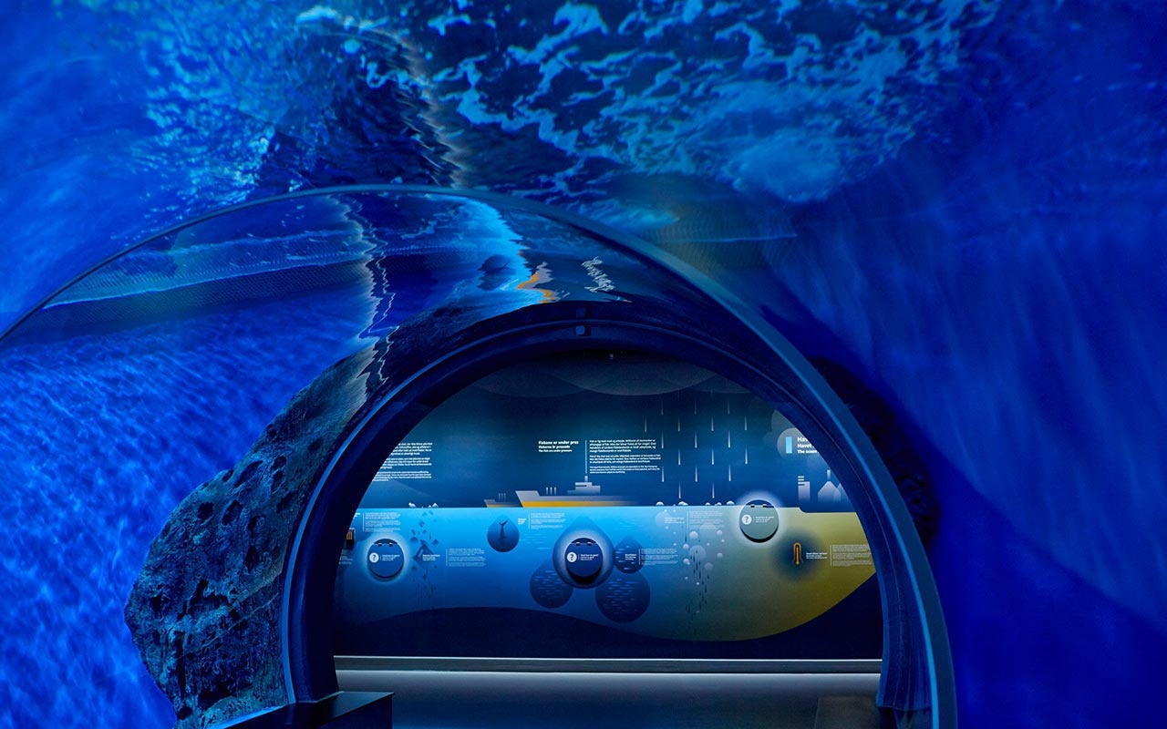 水族館設計 水族館設計