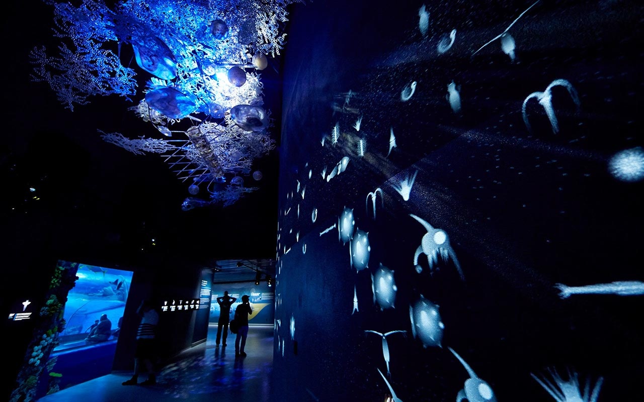 水族館設計 水族館設計