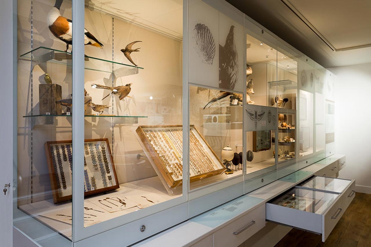 博物館設計 博物館設計