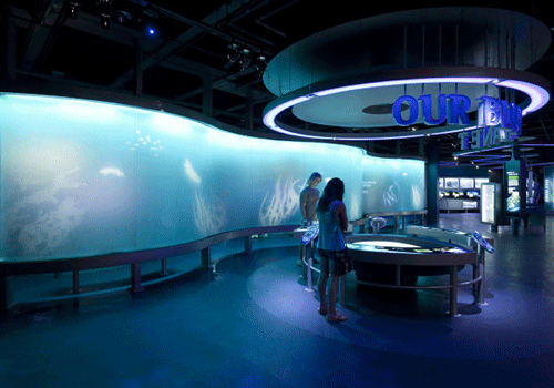 國家博物館展館設(shè)計(jì)